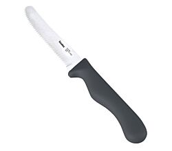 METALTEX 248132029 CHROMOTHERAPY Basic Brotzeitmesser 21,5 cm - grau