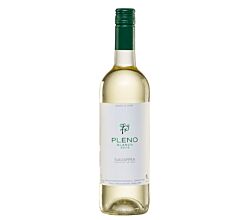 Weißwein Pleno Viura Blanco 2015 aus Spanien