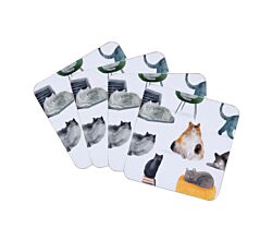 Maxwell & Williams GI0324 Untersetzerset 4-tgl. FELINE FRIENDS 10,5 cm, MDF, in Geschenkbox